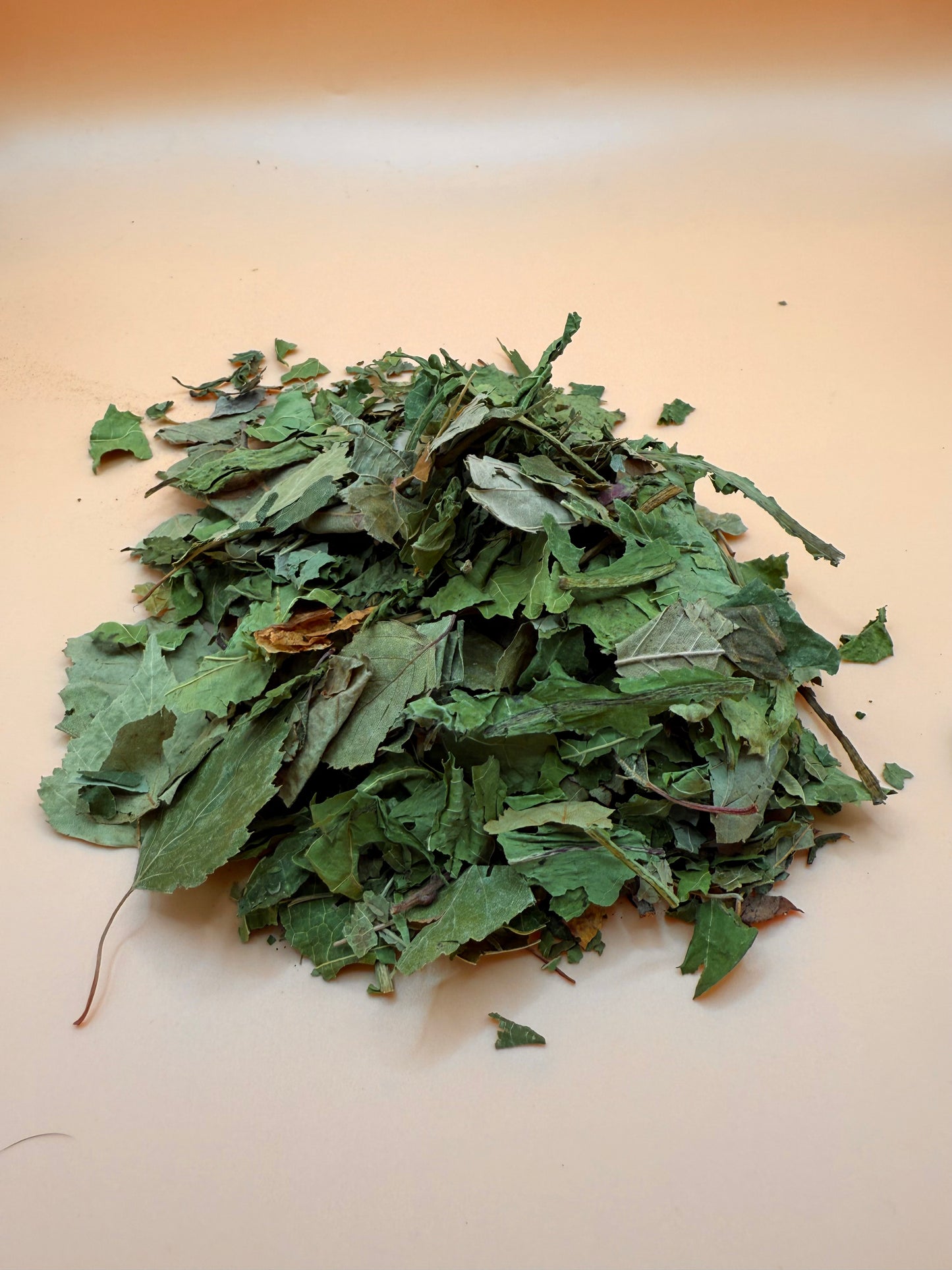 Forest Mix