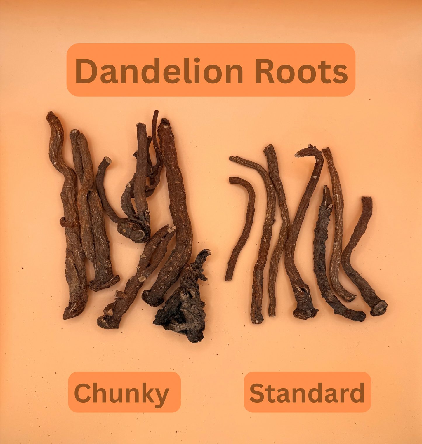 Dandelion Root Standard