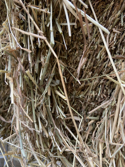 Summer Clover Hay image 3