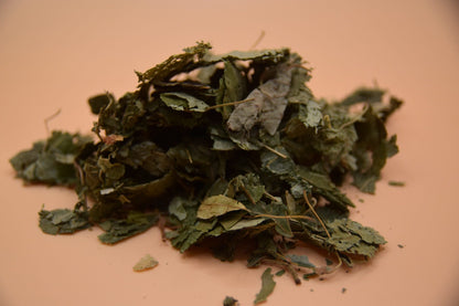 Linden Leaves image 4