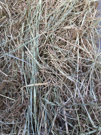 Summer Clover Hay image 4