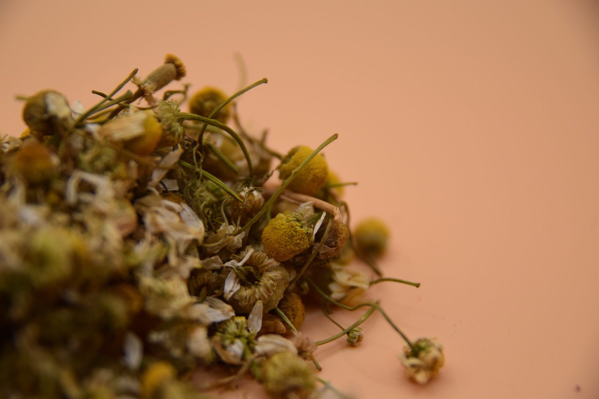 Chamomile Flowers image 2