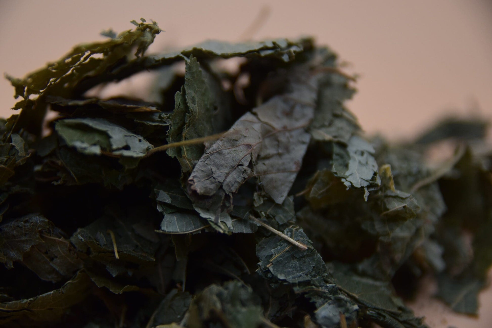 Linden Leaves image 3