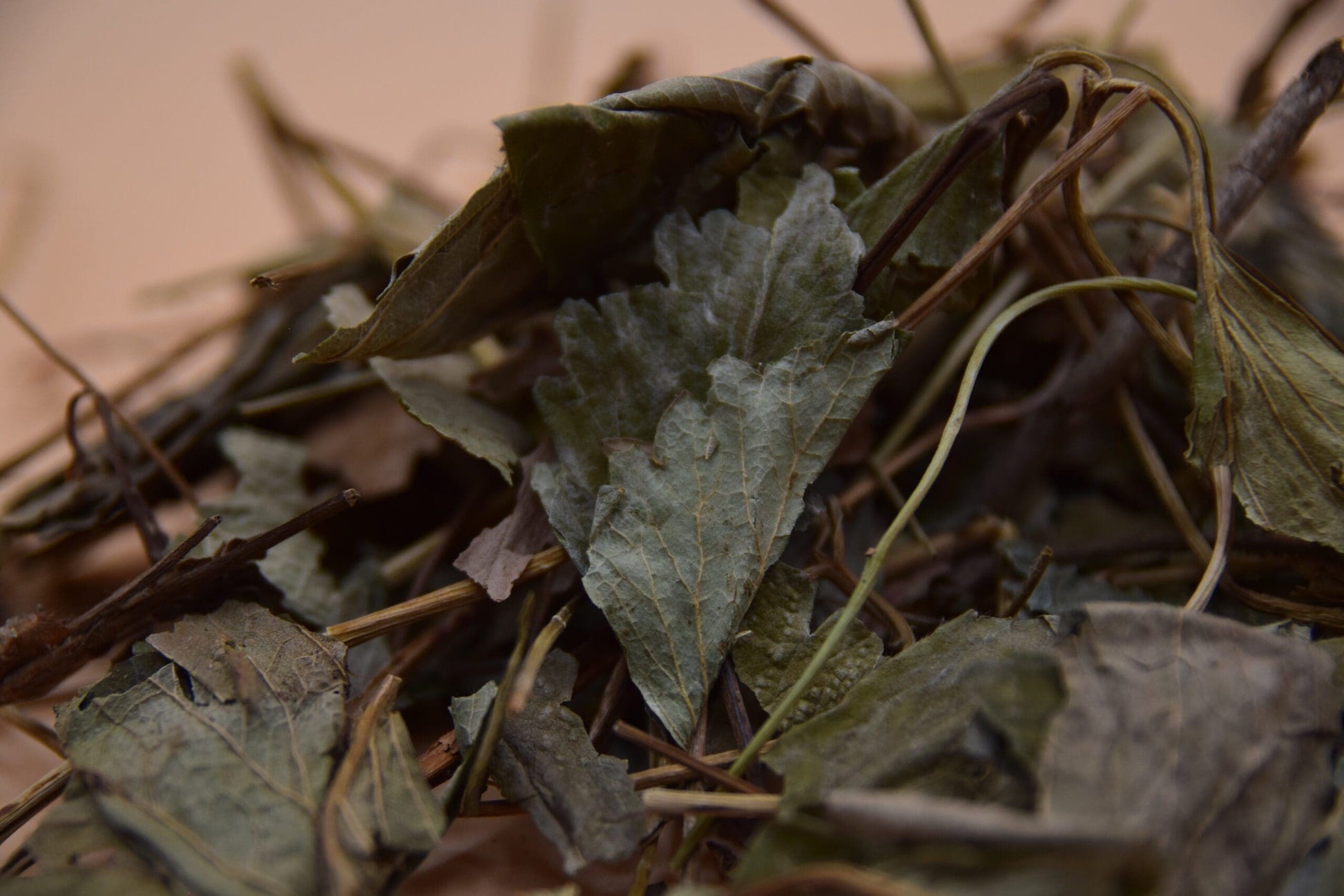 Strawberry Leaves image 1