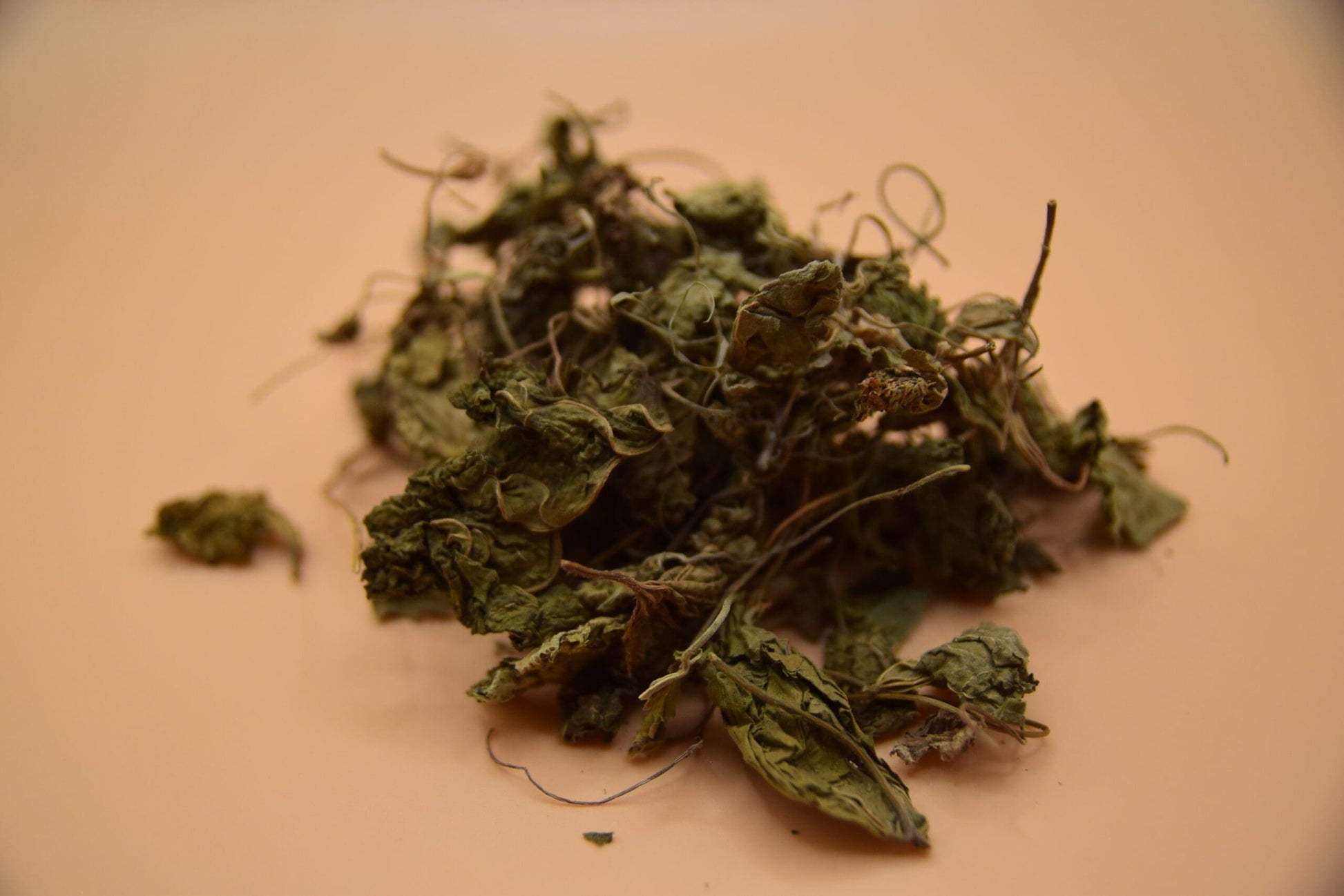 Mallow Leaves image 2