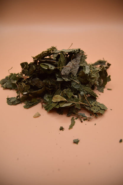 Linden Leaves image 5