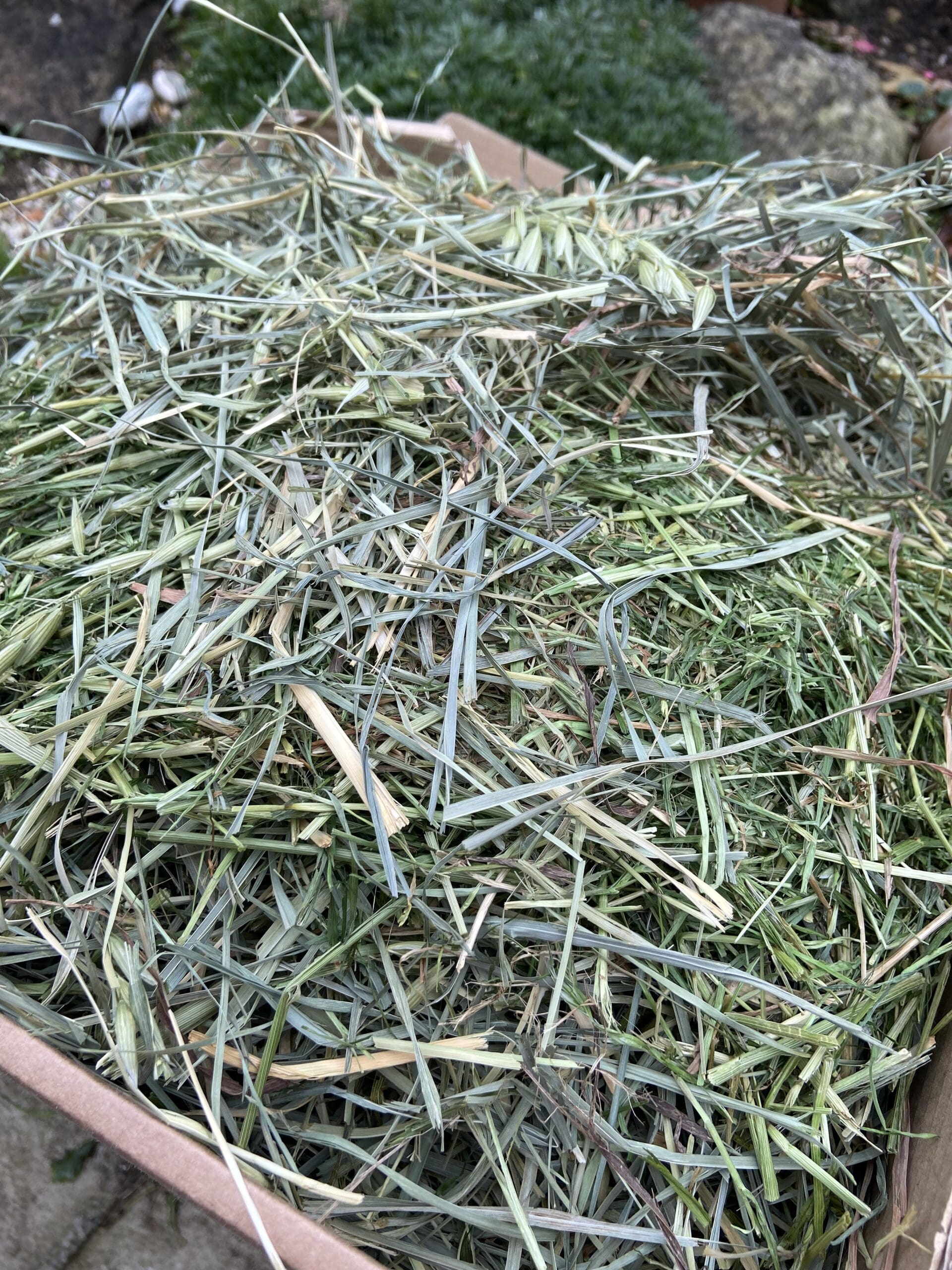 Ultimate Grass Box image 3
