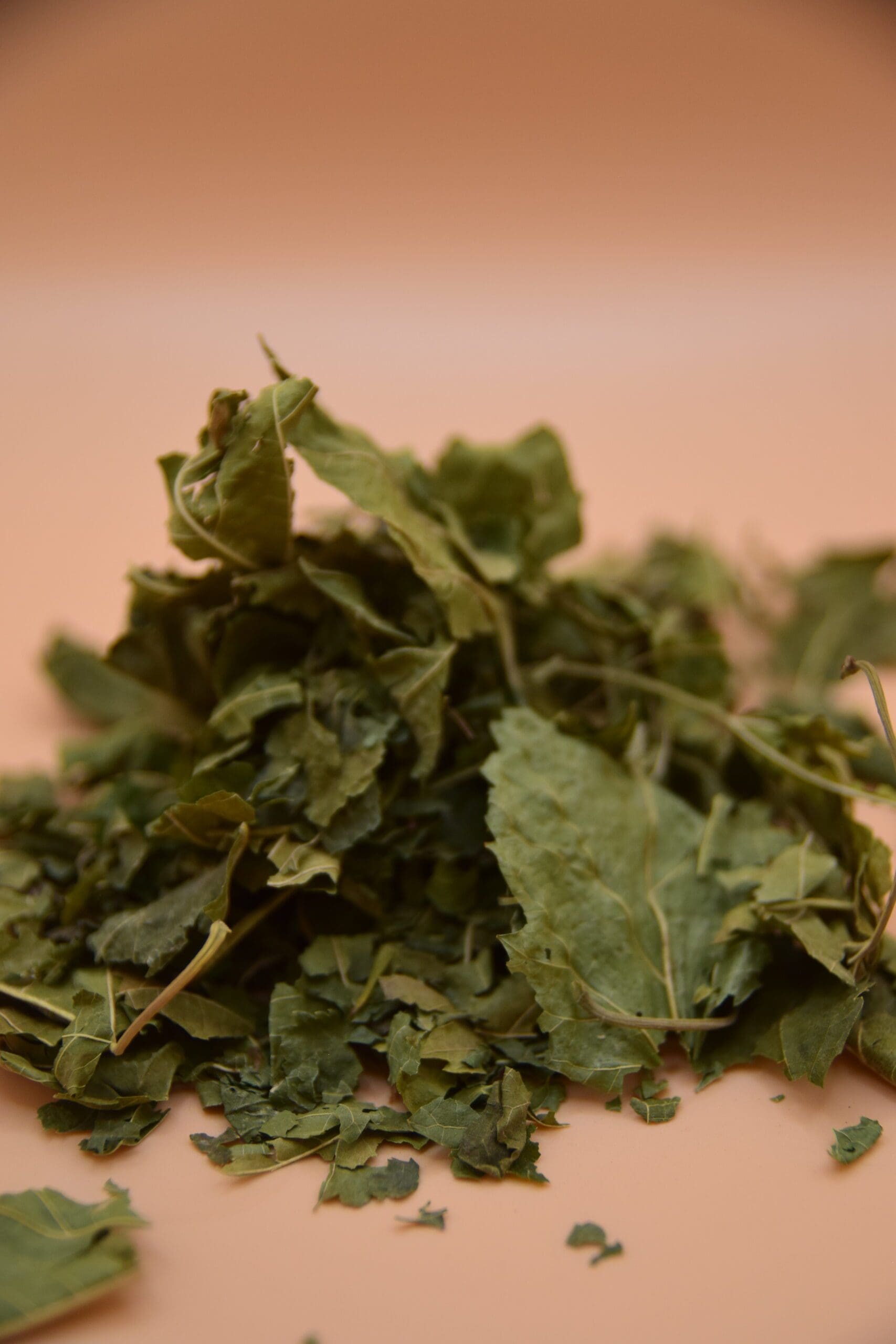 Mulberry Leaves image 0