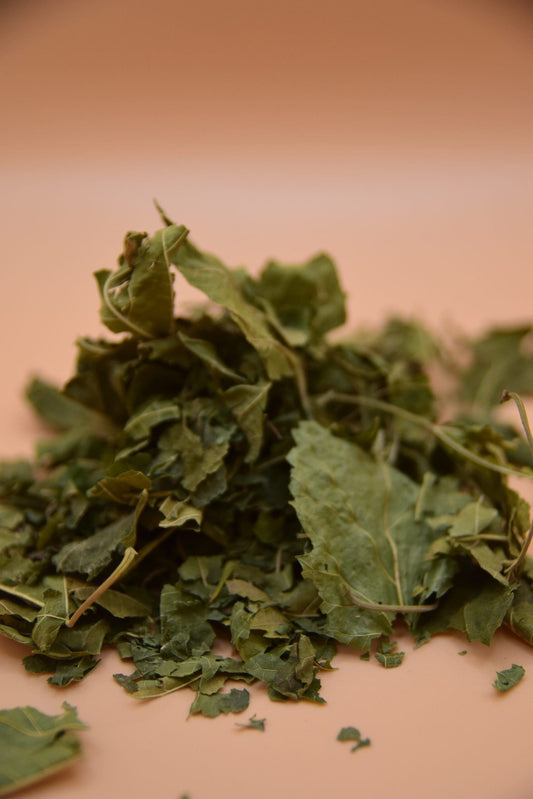 Mulberry Leaves image 0