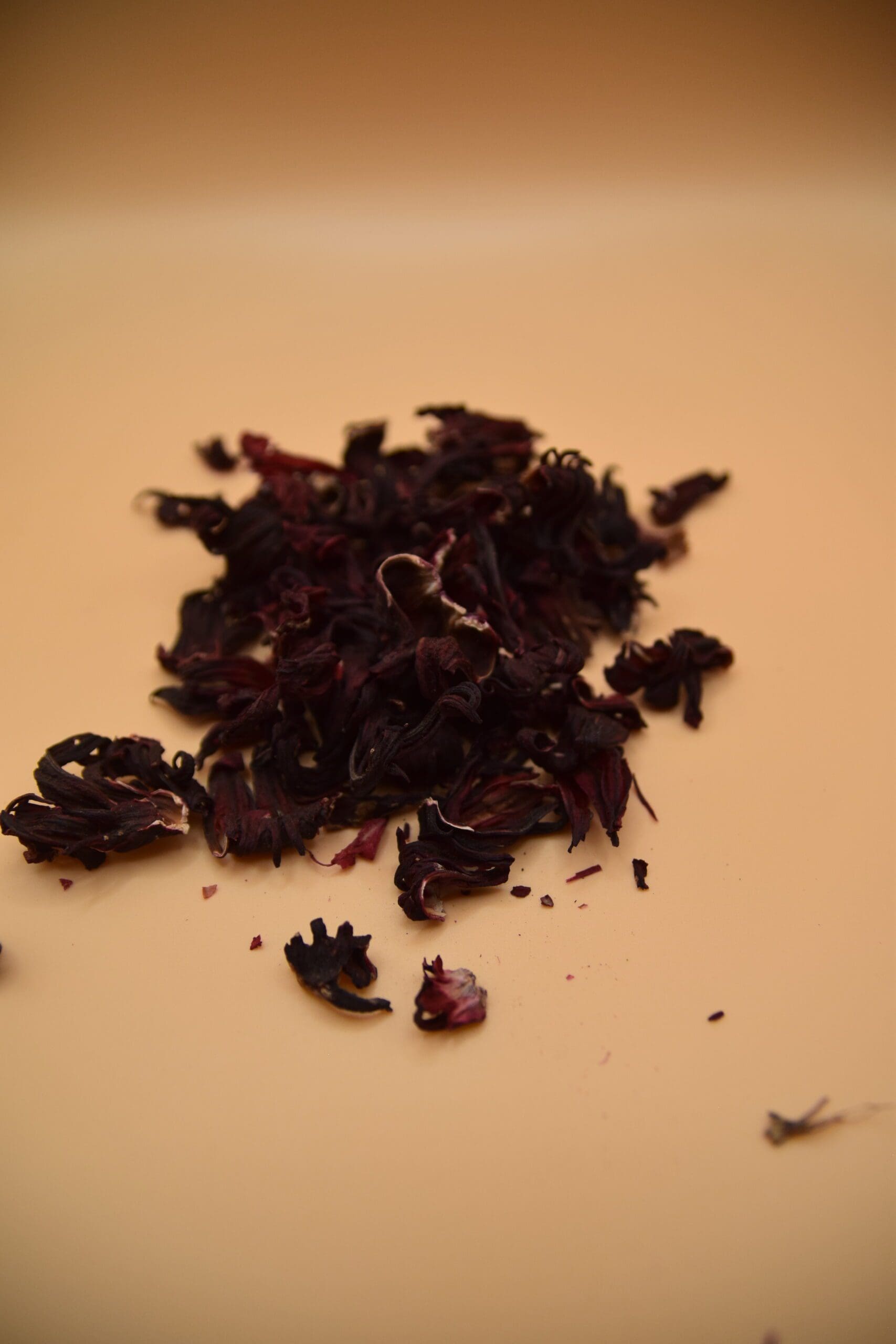 Hibiscus Flowers image 3