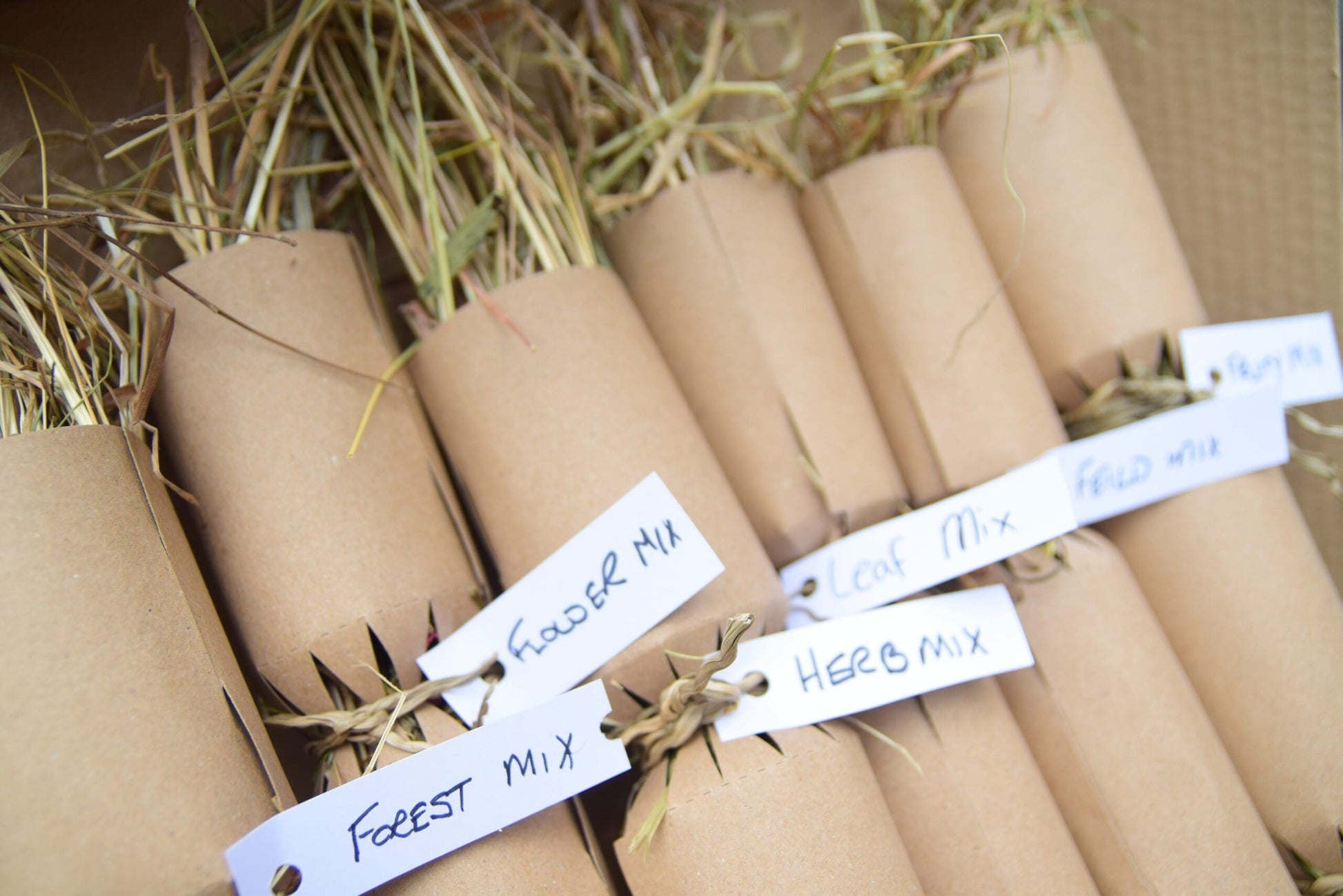 Christmas Cracker - Large image 7