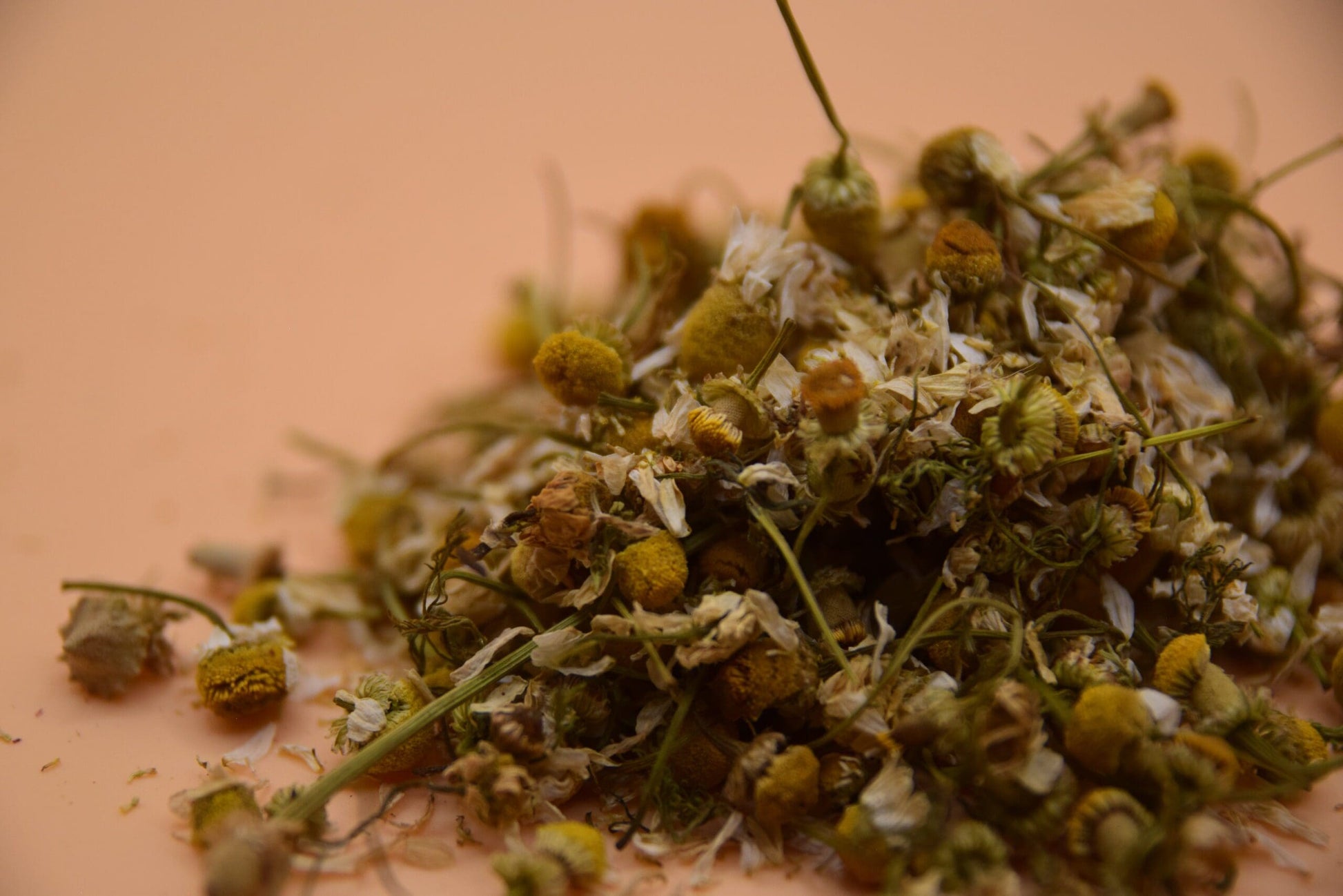 Chamomile Flowers image 3