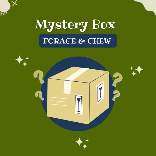 Forage & Chew Mystery Box image 0
