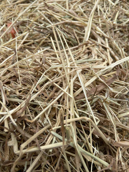 Summer Clover Hay image 1