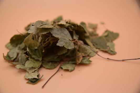 Birch Leaves image 0