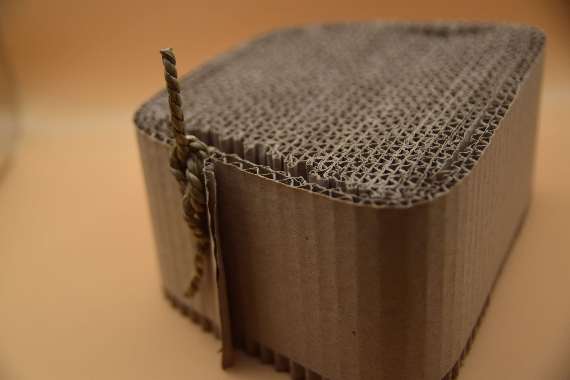 Natural Compressed Cardboard Chew Block image 1