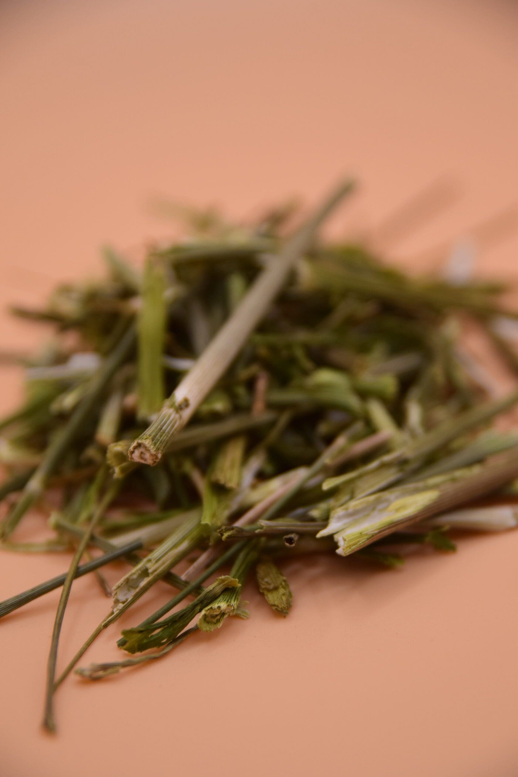 Dill Stalks image 1