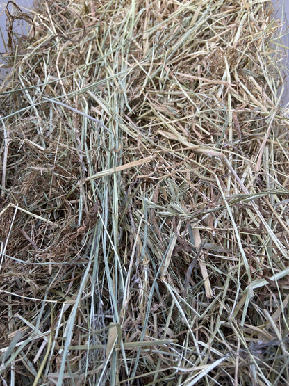 Summer Clover Hay image 5