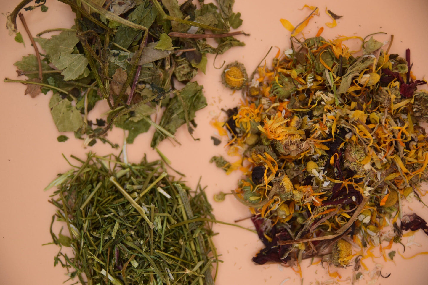 Forage Packages image 3