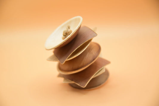 Space Saucer Palm Leaf Toy image 0