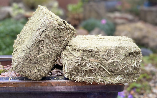 1kg Alfalfa Hay Block image 0