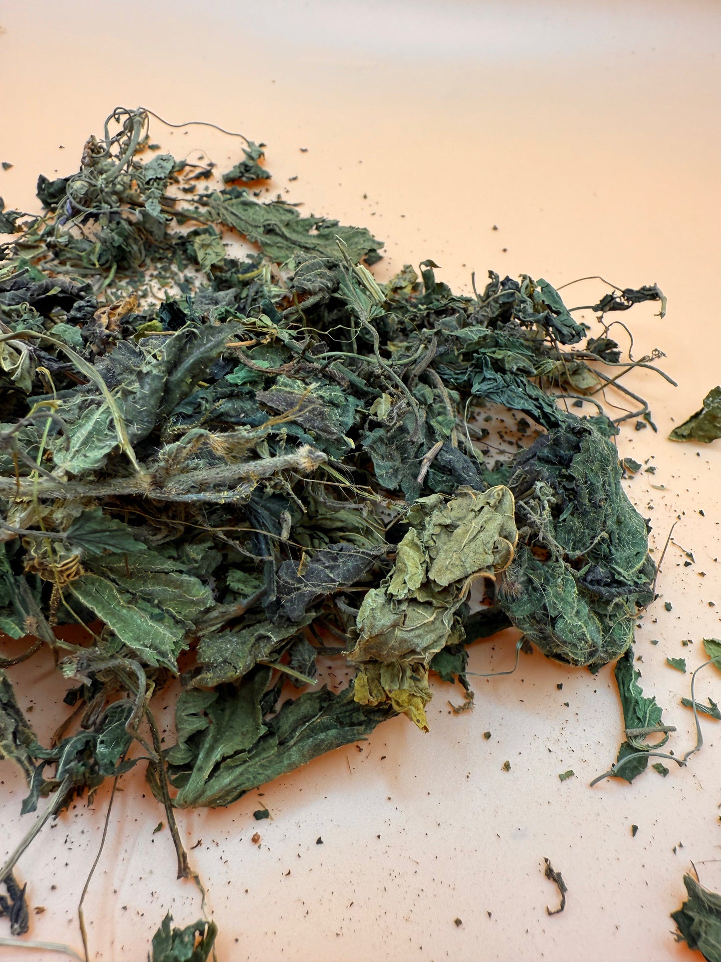 Nettle Leaves