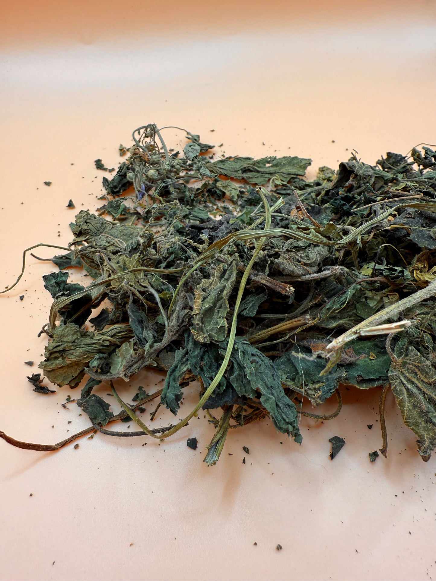 Nettle Leaves
