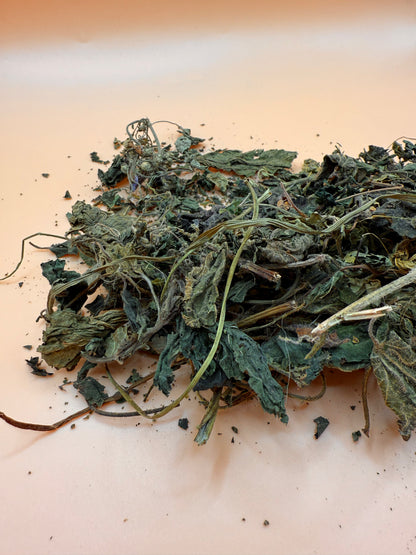 Nettle Leaves