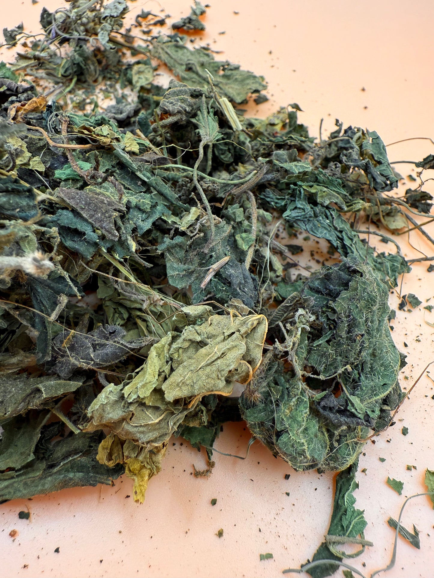 Nettle Leaves