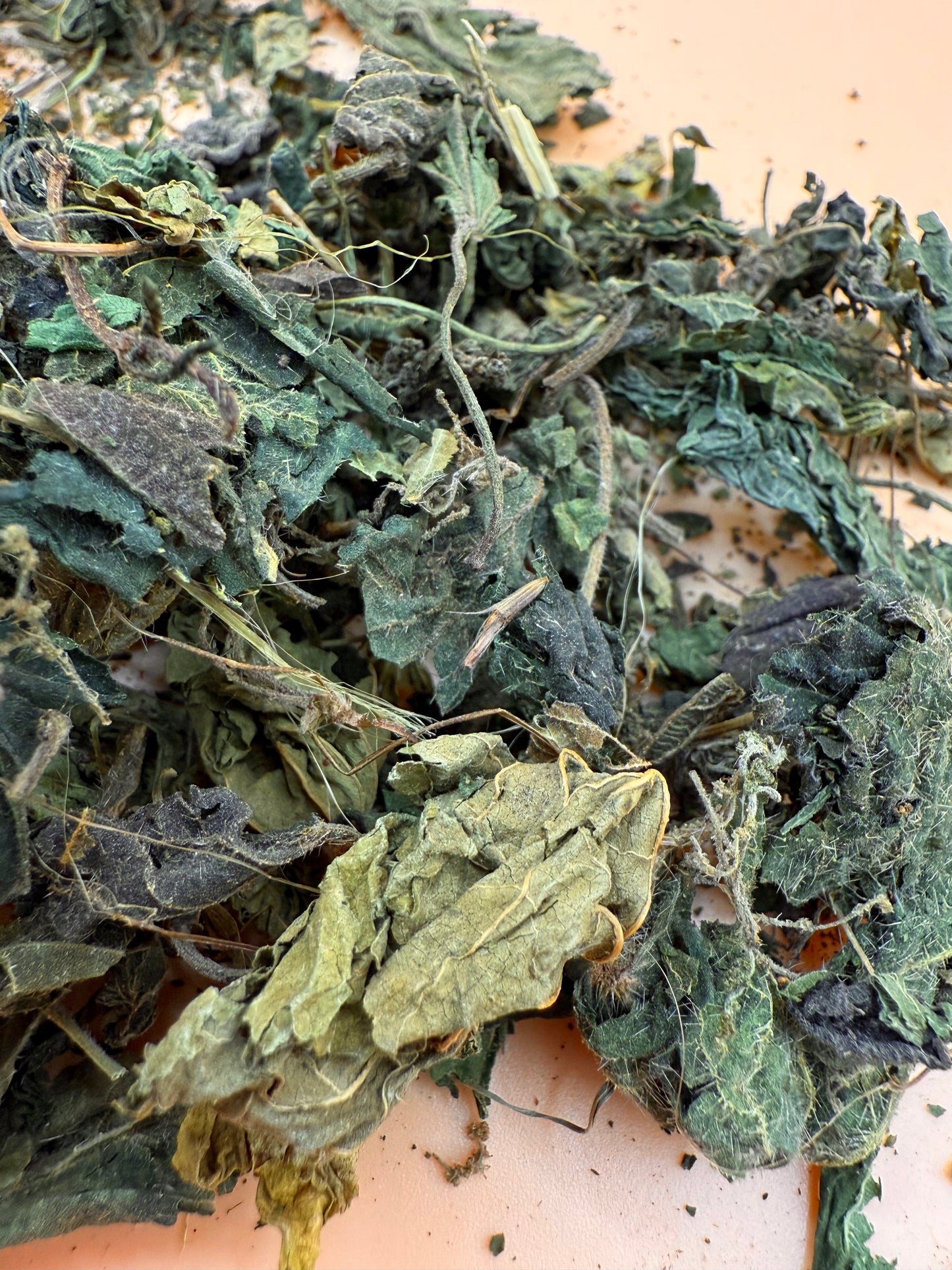 Nettle Leaves