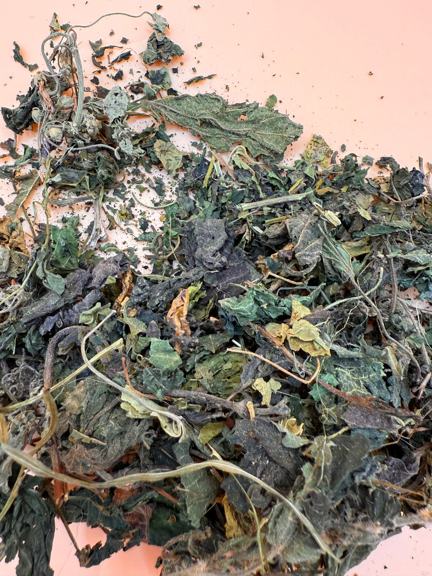 Nettle Leaves