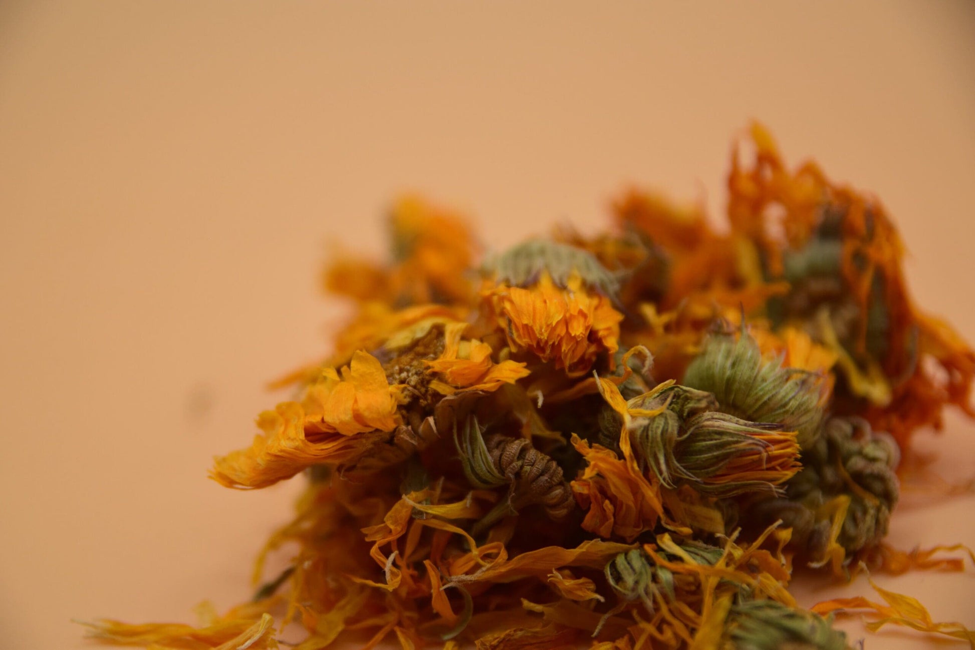 Marigold Flowers image 2