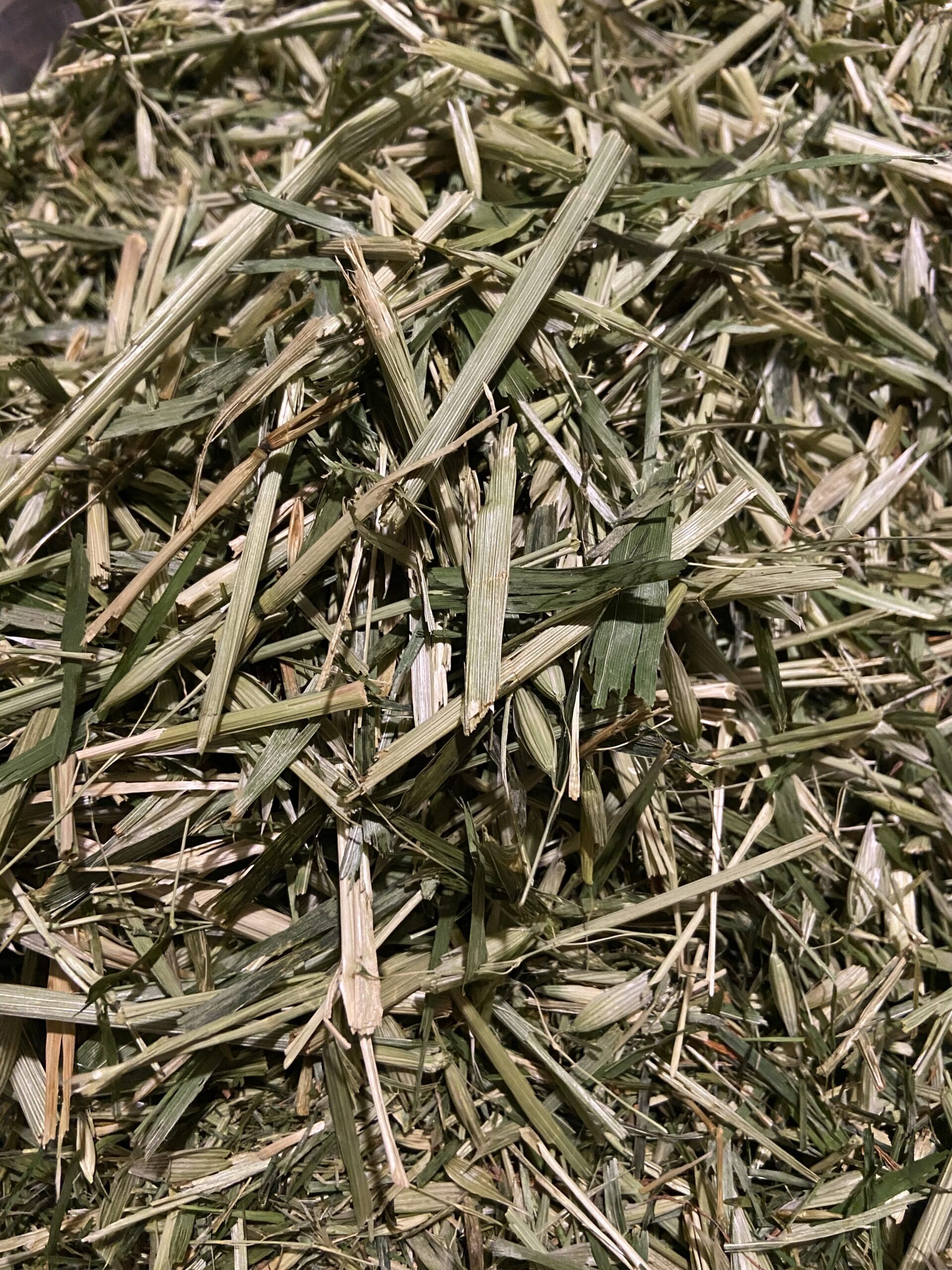 Green Oats image 1