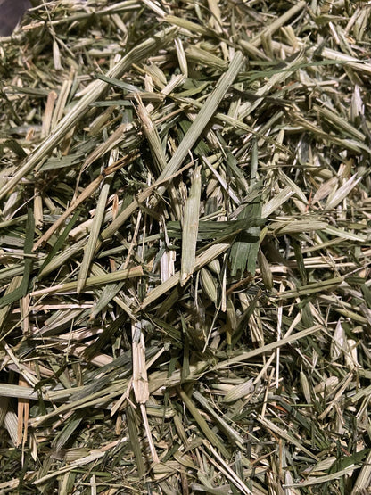 Green Oats image 1