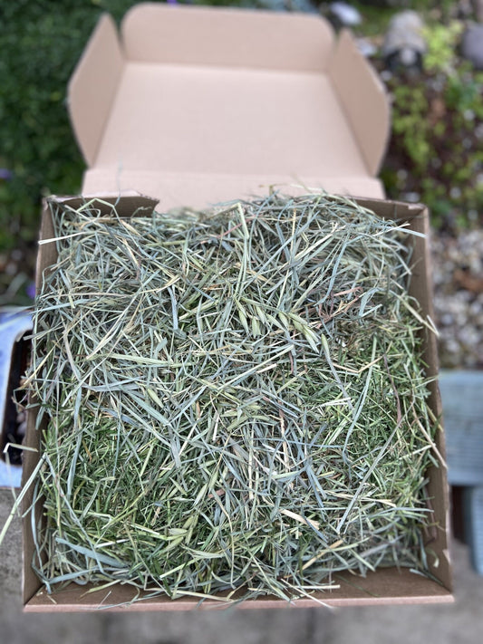 Ultimate Grass Box image 0