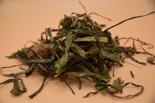 Plantain image 0