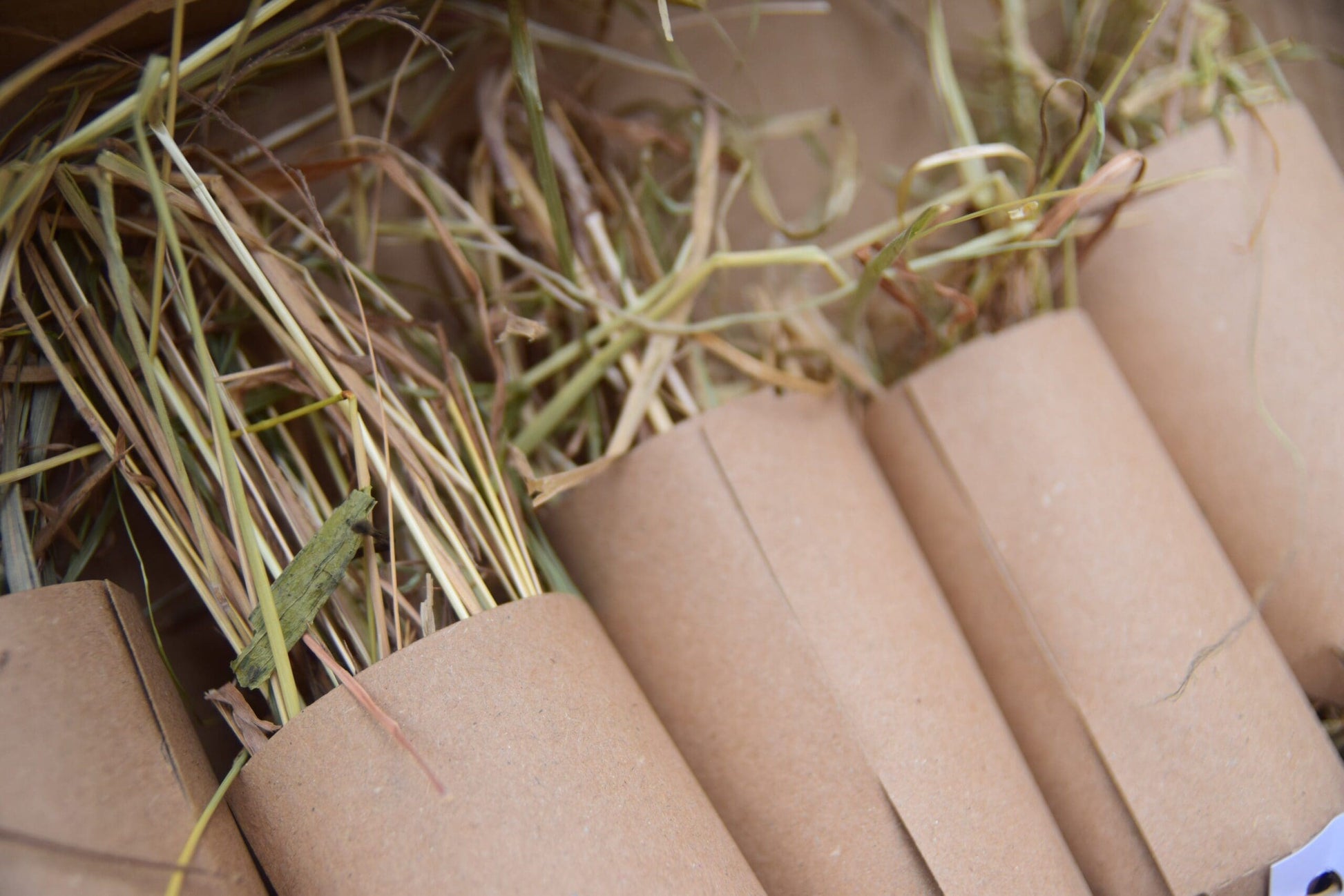 Christmas Cracker - Small image 8