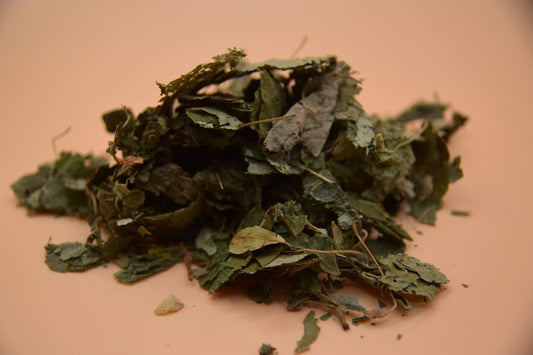 Linden Leaves image 0