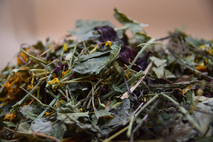Ultimate Forage Box image 3