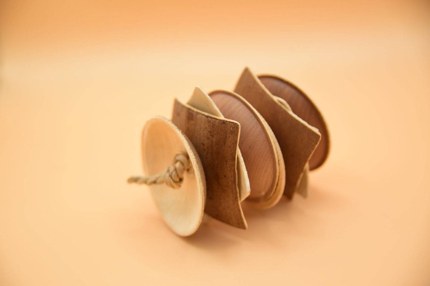 Space Saucer Palm Leaf Toy image 1