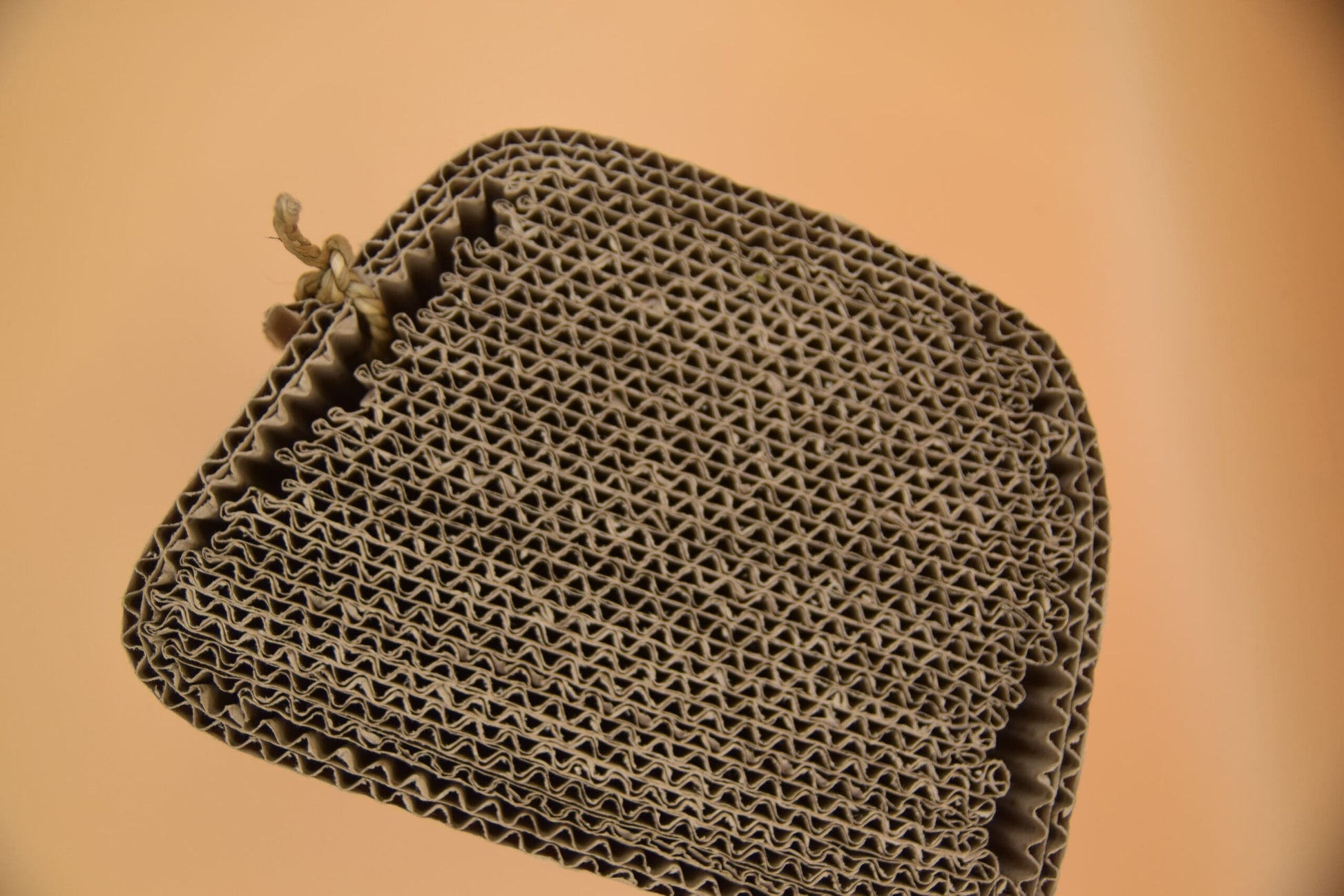 Natural Compressed Cardboard Chew Block image 3