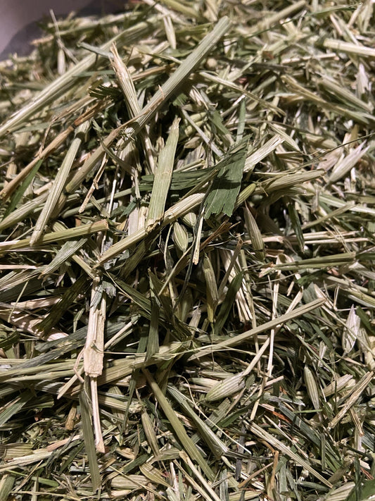 Green Oats image 0
