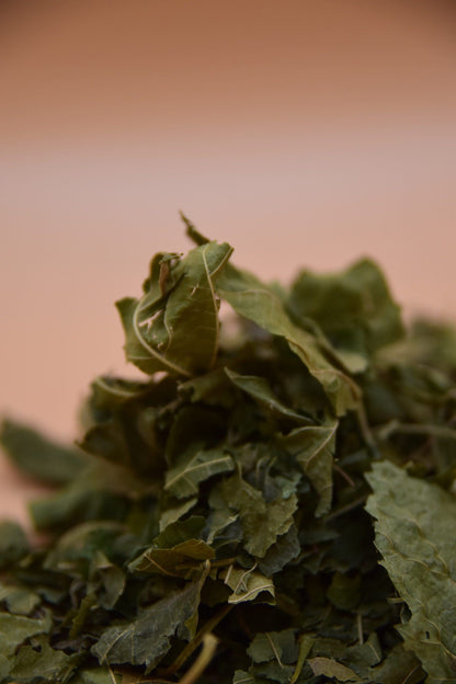 Mulberry Leaves image 1
