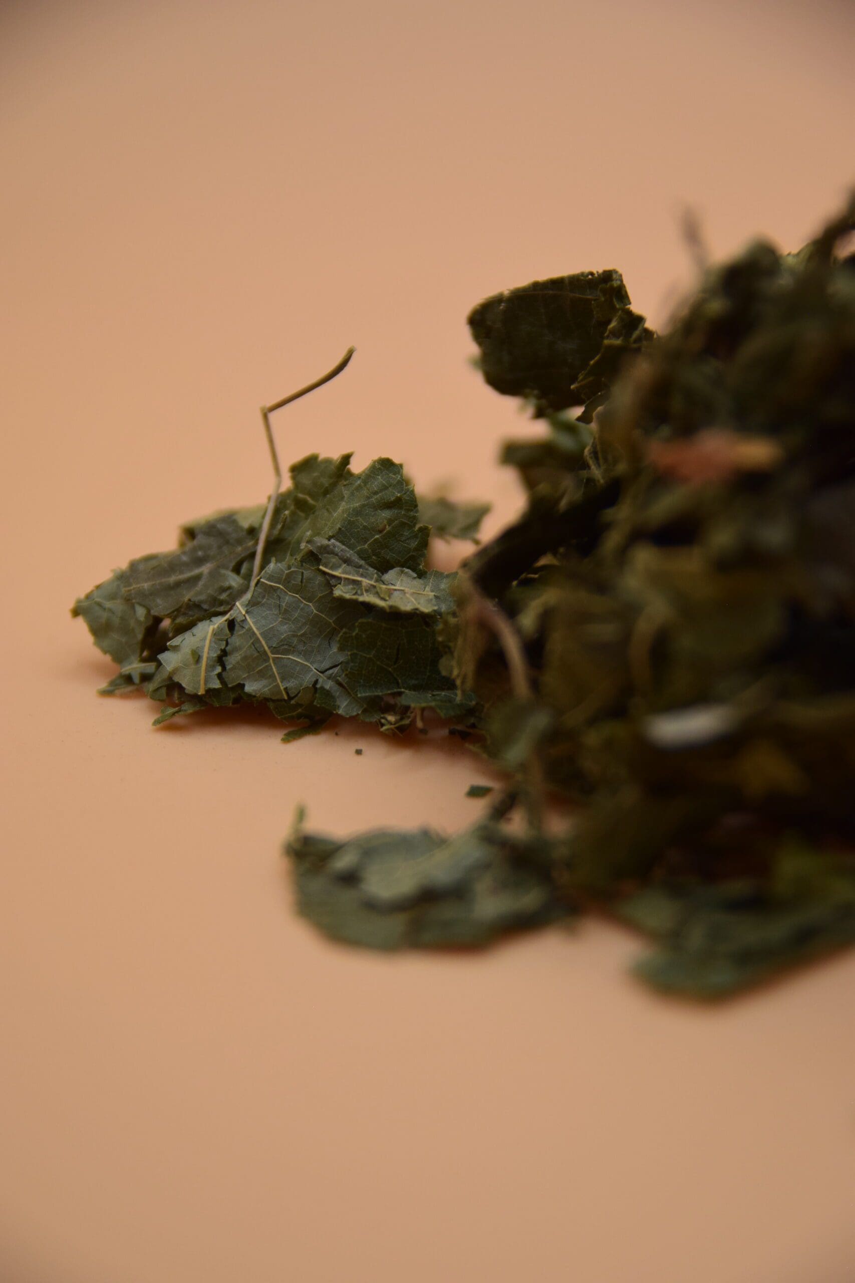 Linden Leaves image 1