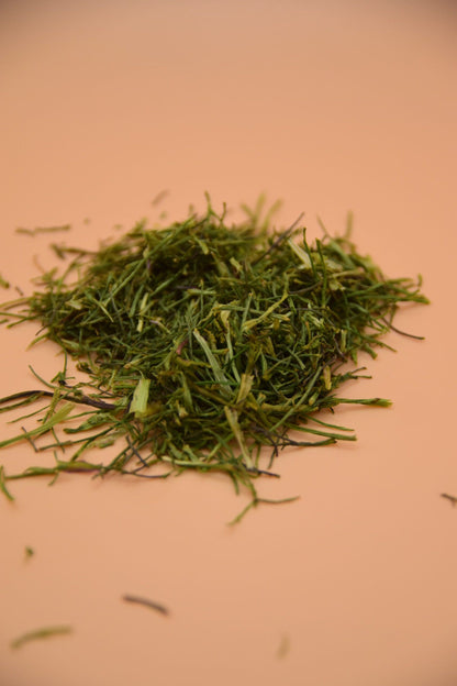 Coriander image 0