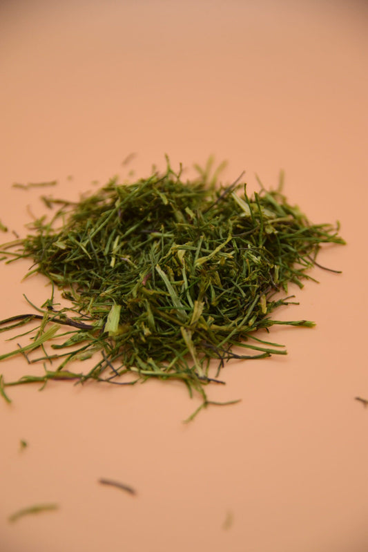 Coriander image 0
