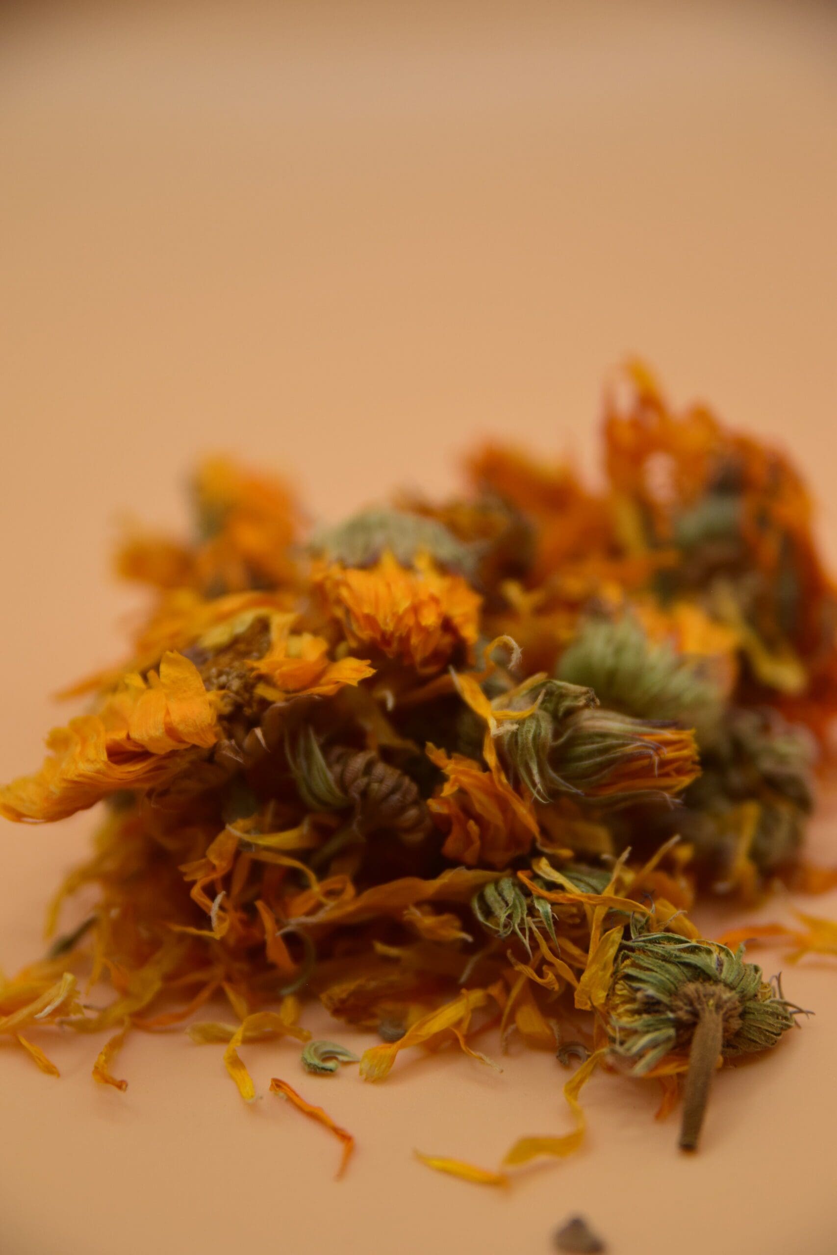 Marigold Flowers image 1