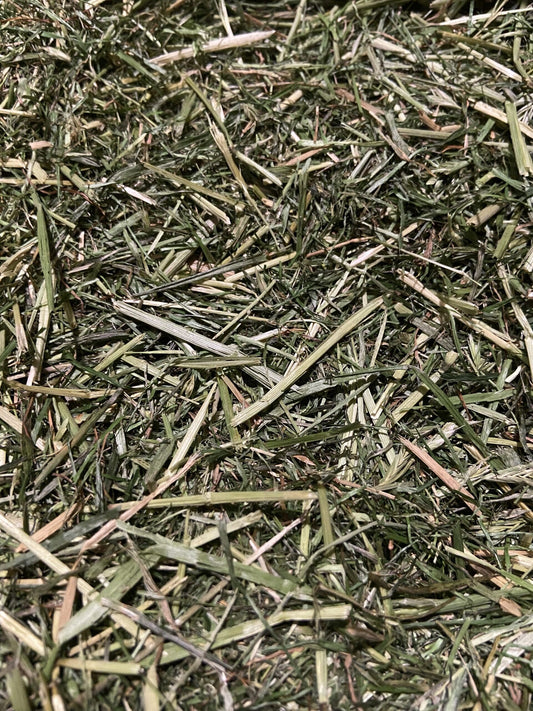 Readigrass image 0