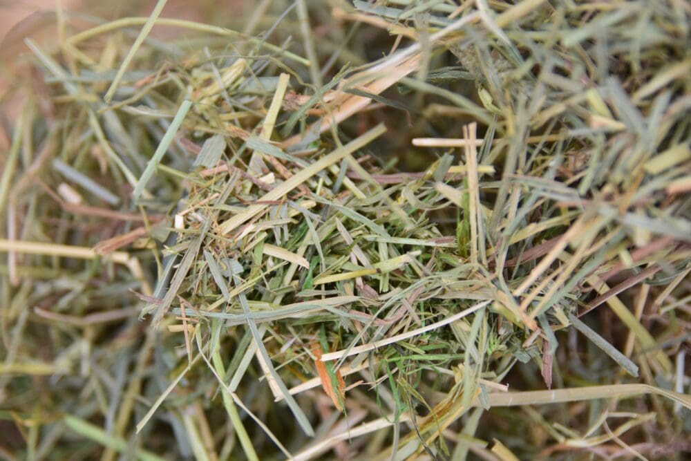 ultimate hay and forage box