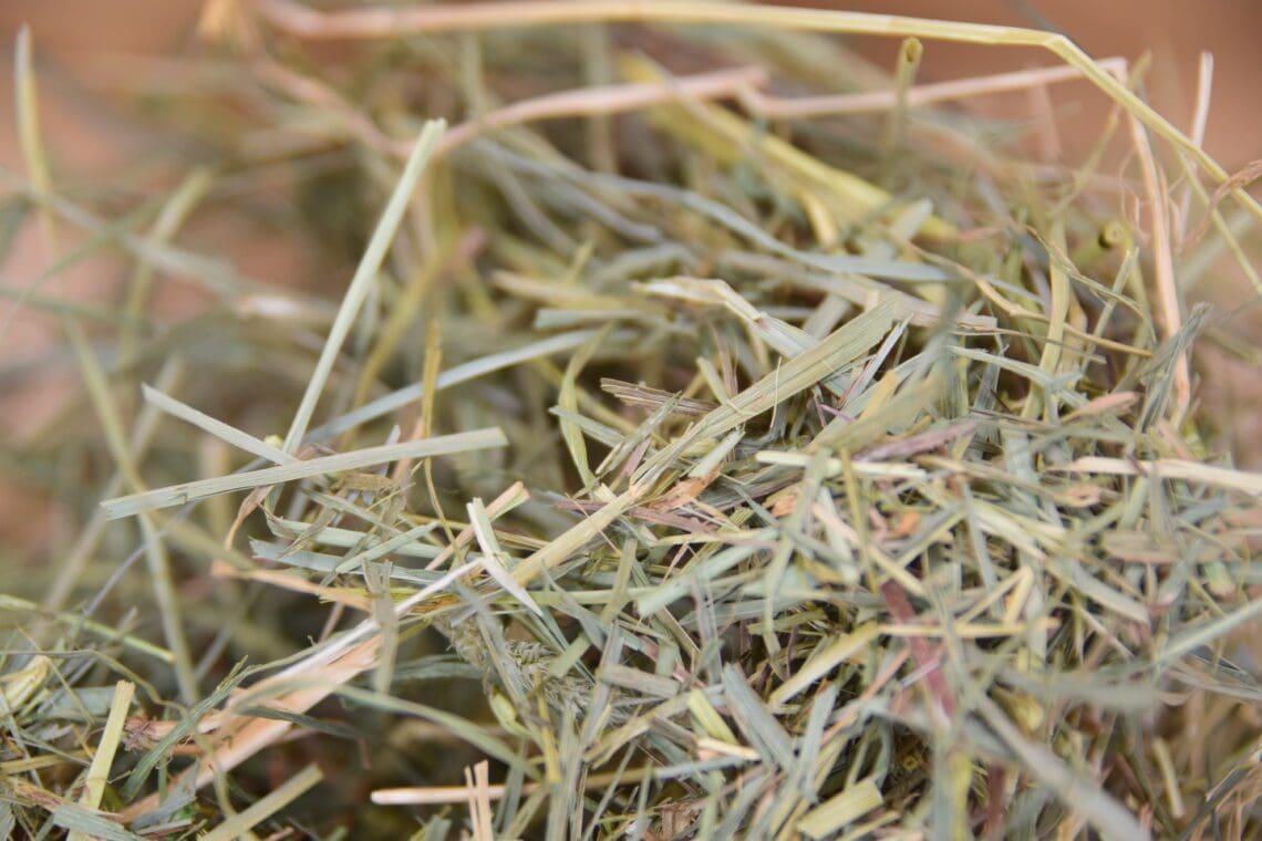 ultimate hay and forage box